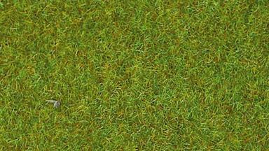 HEKI 30903 — Трава светло-зелёная флок (рулон 1000 × 3000 мм ≈ 3 м²), 1:35—1:250, сделано в Германии