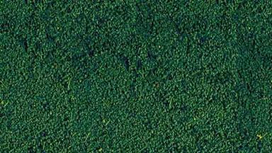 HEKI 1613 — Растительность зелёная сосна (мини флокаж 200 мл), 1:35—1:1000, сделано в Германии