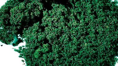 AUHAGEN 76982 — Растительность тёмно-зелёная (фолиаж, пена 1000 мл, ~55 г), 1:18—1:220, сделано в Германии